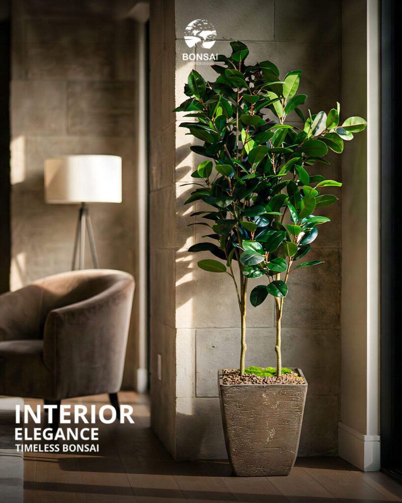 Natural light corner